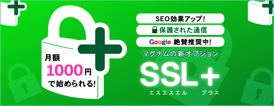 SSL 已开始提供该选项